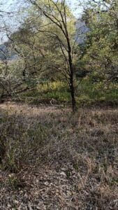 Jeep safari tour group exploring the scenic landscape of Ranthambore Tiger Reserve