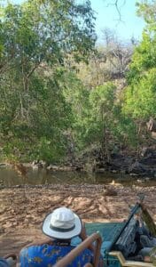 Royal Bengal Tiger sighting during open gypsy safari in Ranthambore National Park Rajasthan