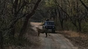 Satisfied tourists posing after a successful tiger sighting tour with our local guides